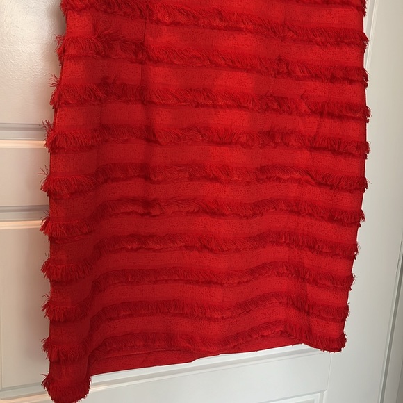 Red Badgley Mischka dress with fringe. Size 12. Never worn. - Picture 3 of 5